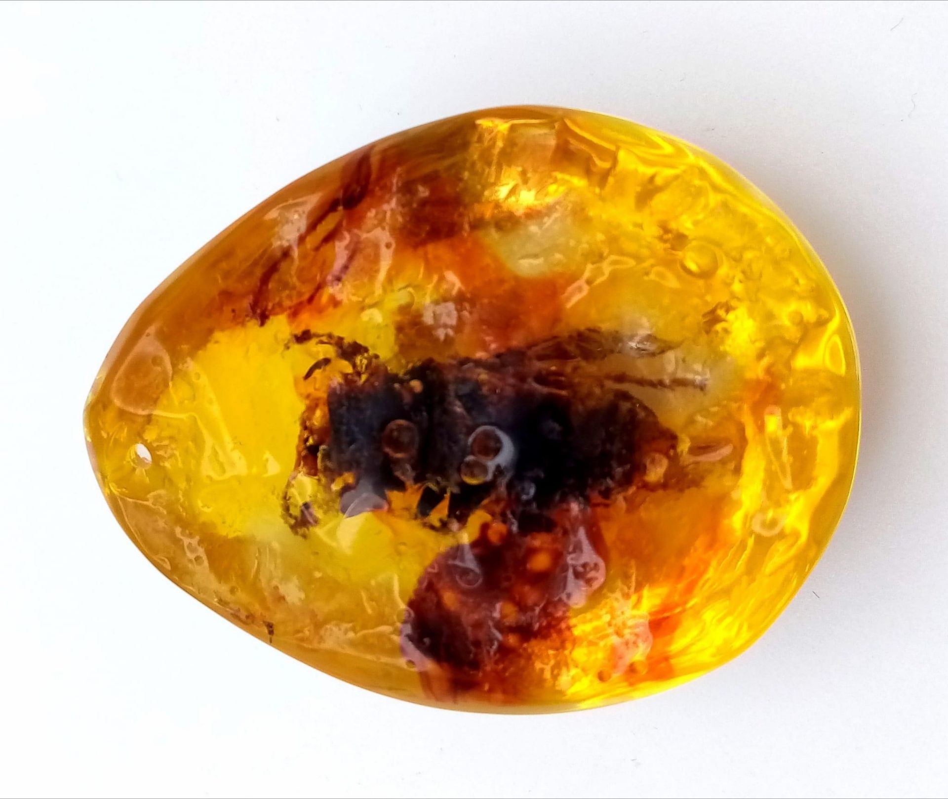 A Gargantuan Asian Hornet Regrets Stinging the Amber Resin Pendant Lord. Pendant or paperweight. 6cm - Bild 8 aus 9