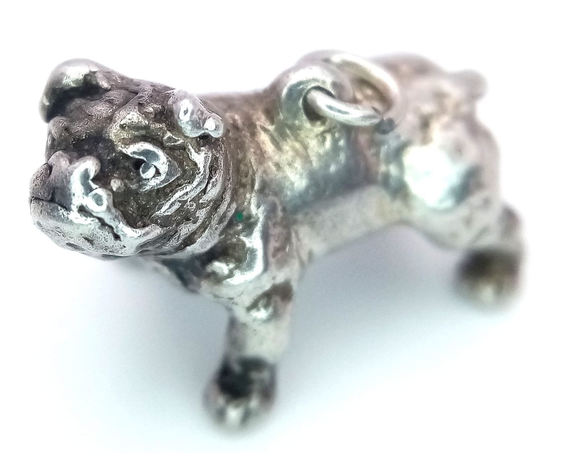 A Sterling Silver British Bulldog Charm. 2.3cm x 1.5cm, 5.1g weight. Ref: SC 7091