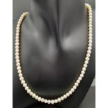 A Cultured Pearl Necklace with a 9K Gold Clasp. 42cm