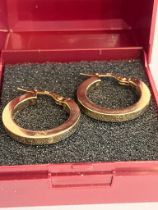 9 carat yellow GOLD HOOP EARRINGS. Chunky style 1.7 cm diameter.