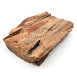 A rare, Egyptian, petrified piece of wood, cut and polished on one side, 35 million years old,