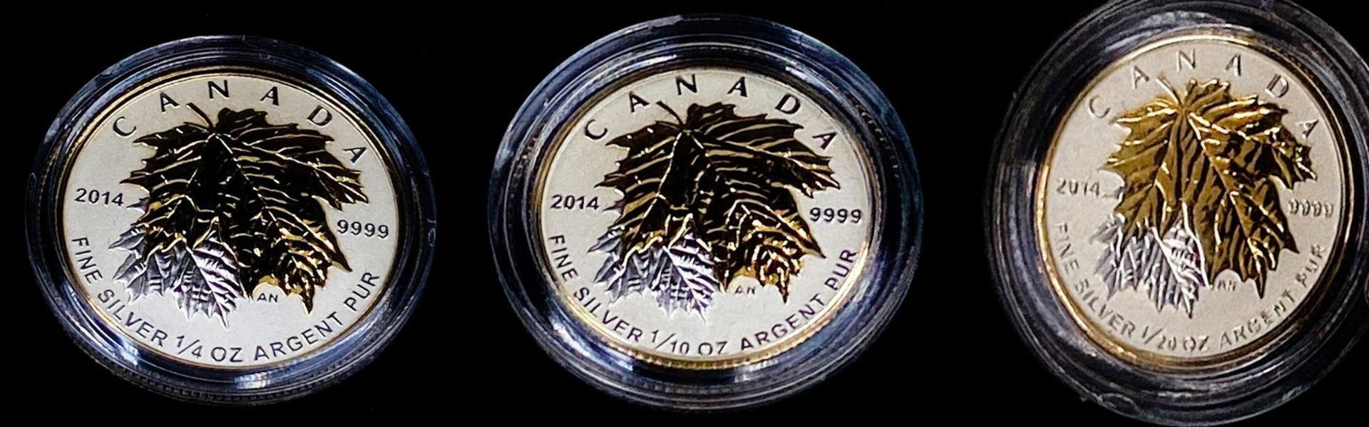A Full Cased Set of 2014 Fine Silver (.9999) Maple Leafs. Queen Elizabeth on the Obverse. This is - Bild 7 aus 9