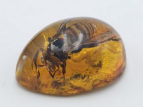 A Tory MP Chooses Life As A Trapped Asian Hornet Rather Than Running for Re-Election. Pendant or