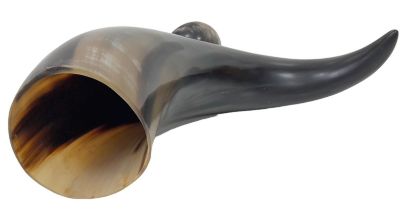 A Repro Resin Large Animal Horn with Libation Cup attached. 55cm horn