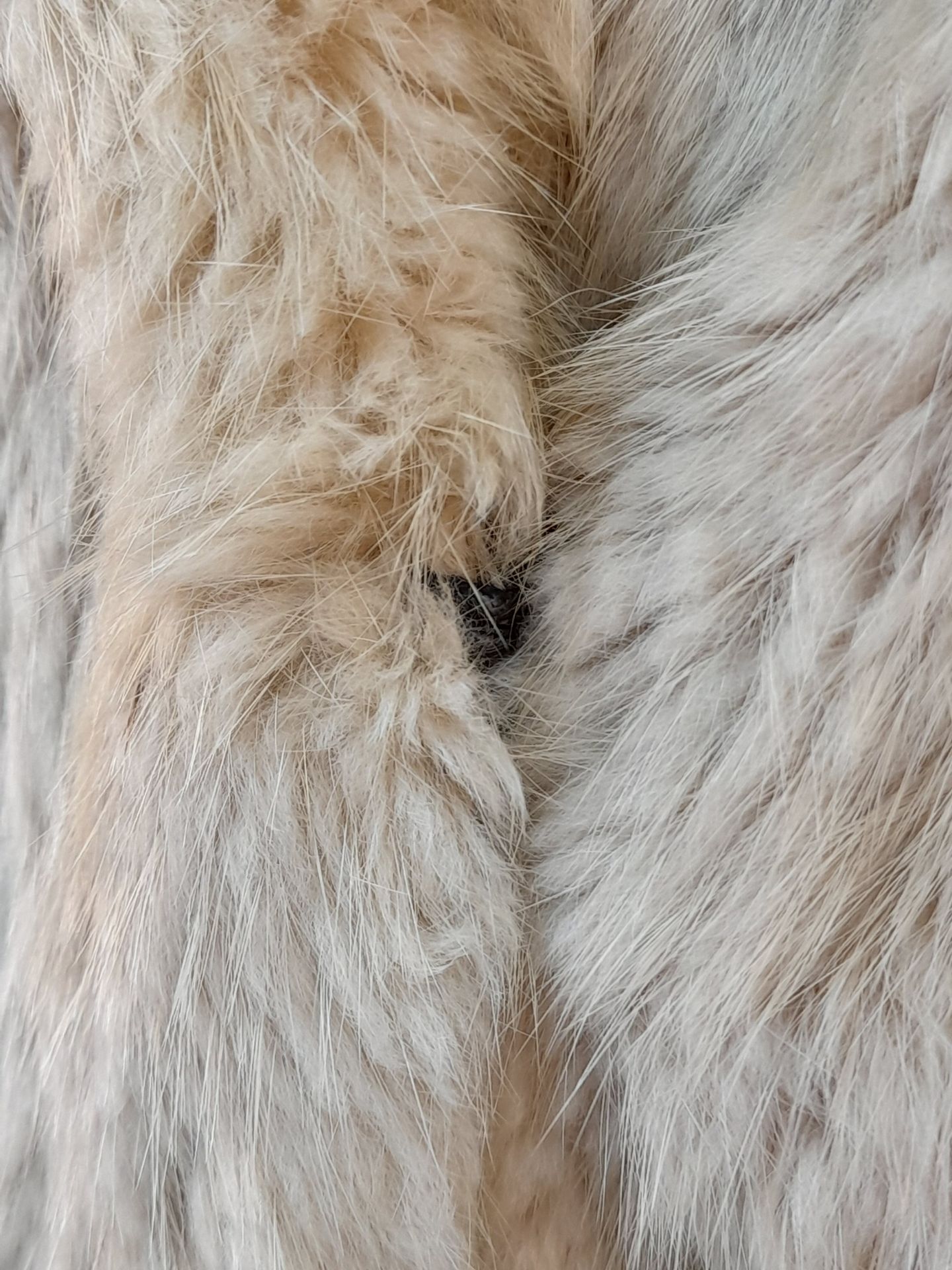 A Barkers of Kensington Three-Quarter Length White Fur Coat. - Bild 2 aus 8
