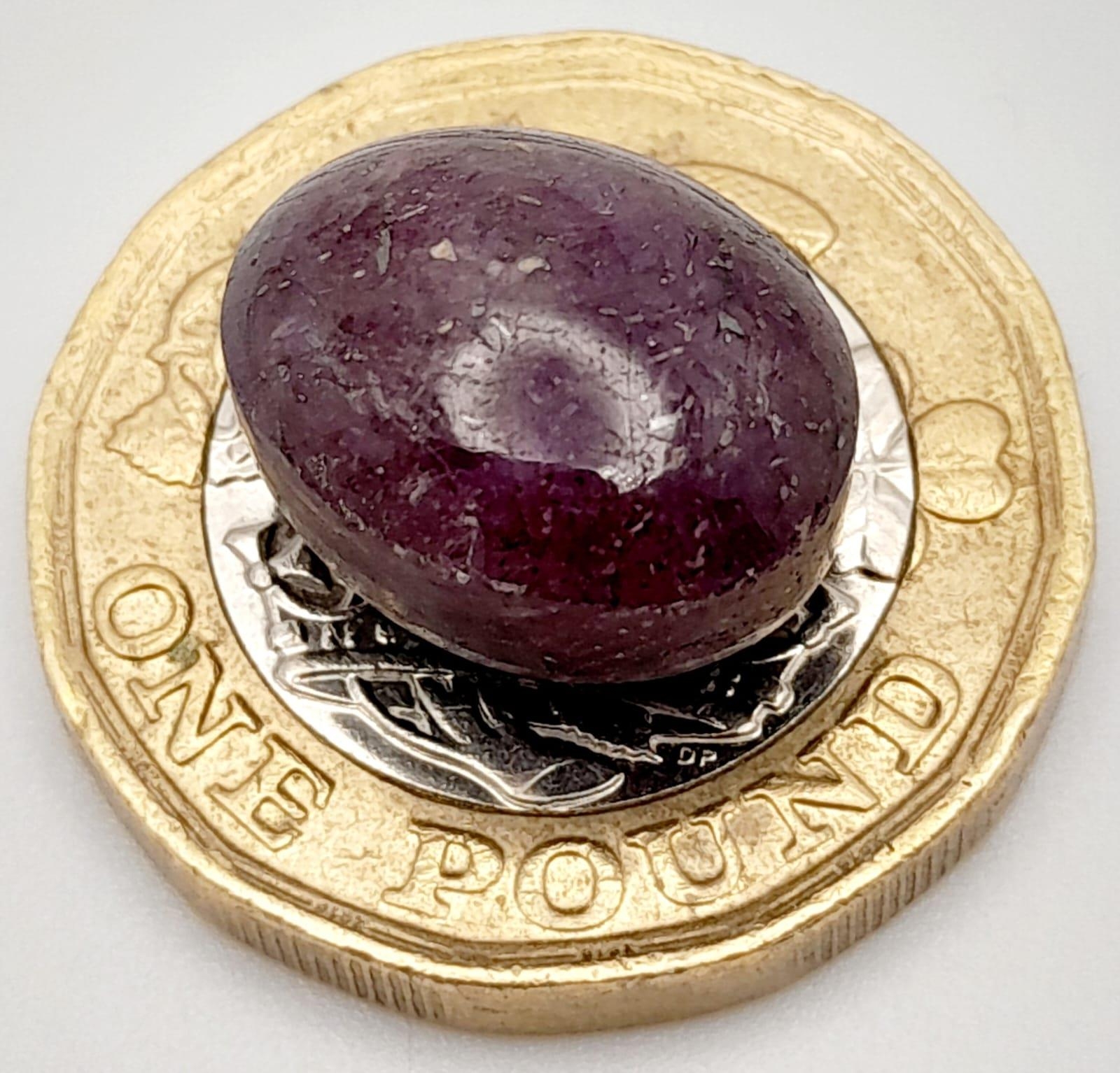 A 15.41ct Natural Star Ruby, in the Oval Cabochon shape. Comes with the IGLI Certificate. ref: ZK - Image 4 of 5