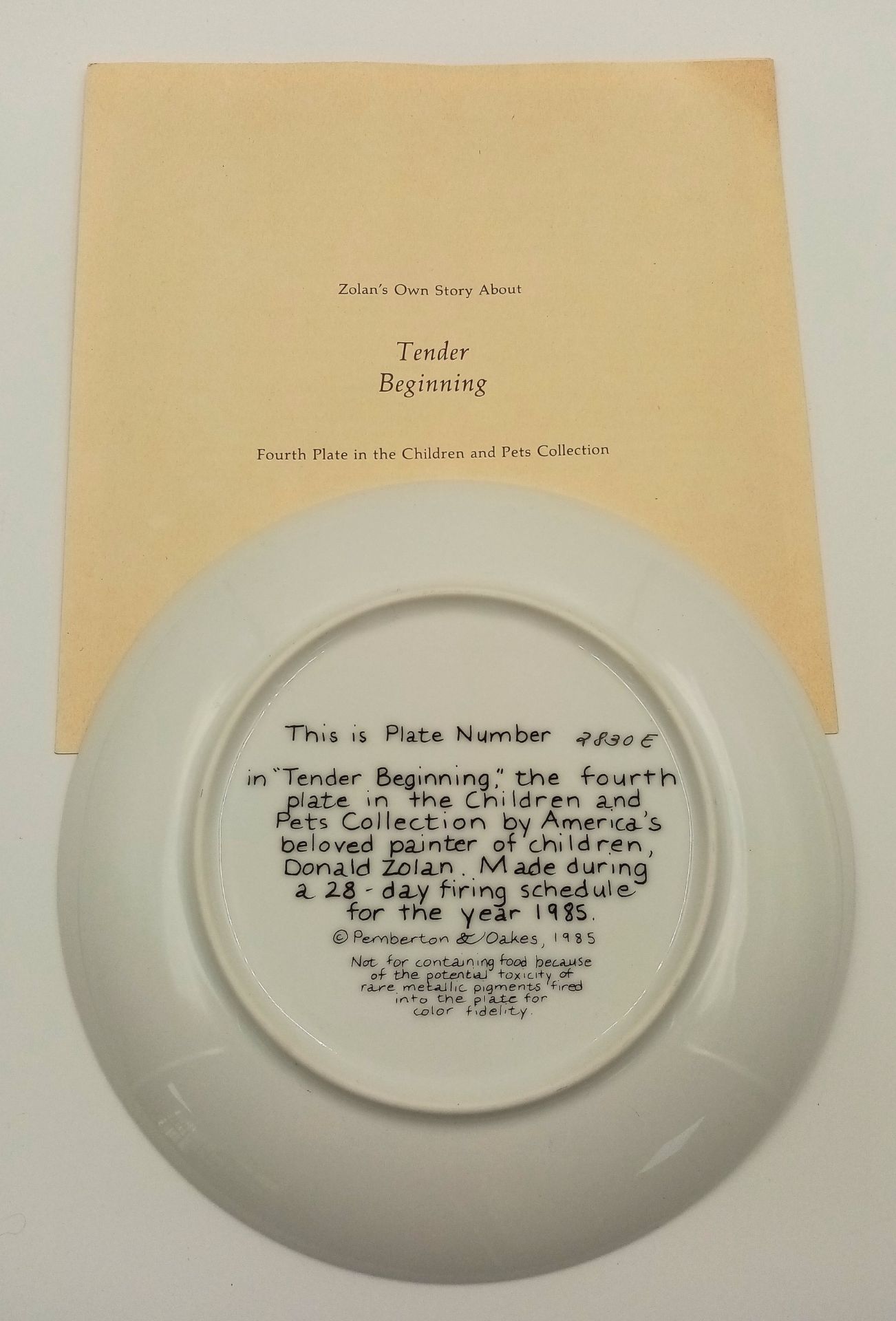 A Donald Zolan Tender Beginnings Limited Edition Ceramic Plate. Comes with COA and original - Image 3 of 5