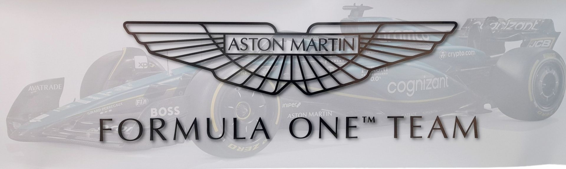 A trophy for any petrolhead, An ASTON MARTIN Formula One Racing Team banner. Strong PVC - Bild 2 aus 7