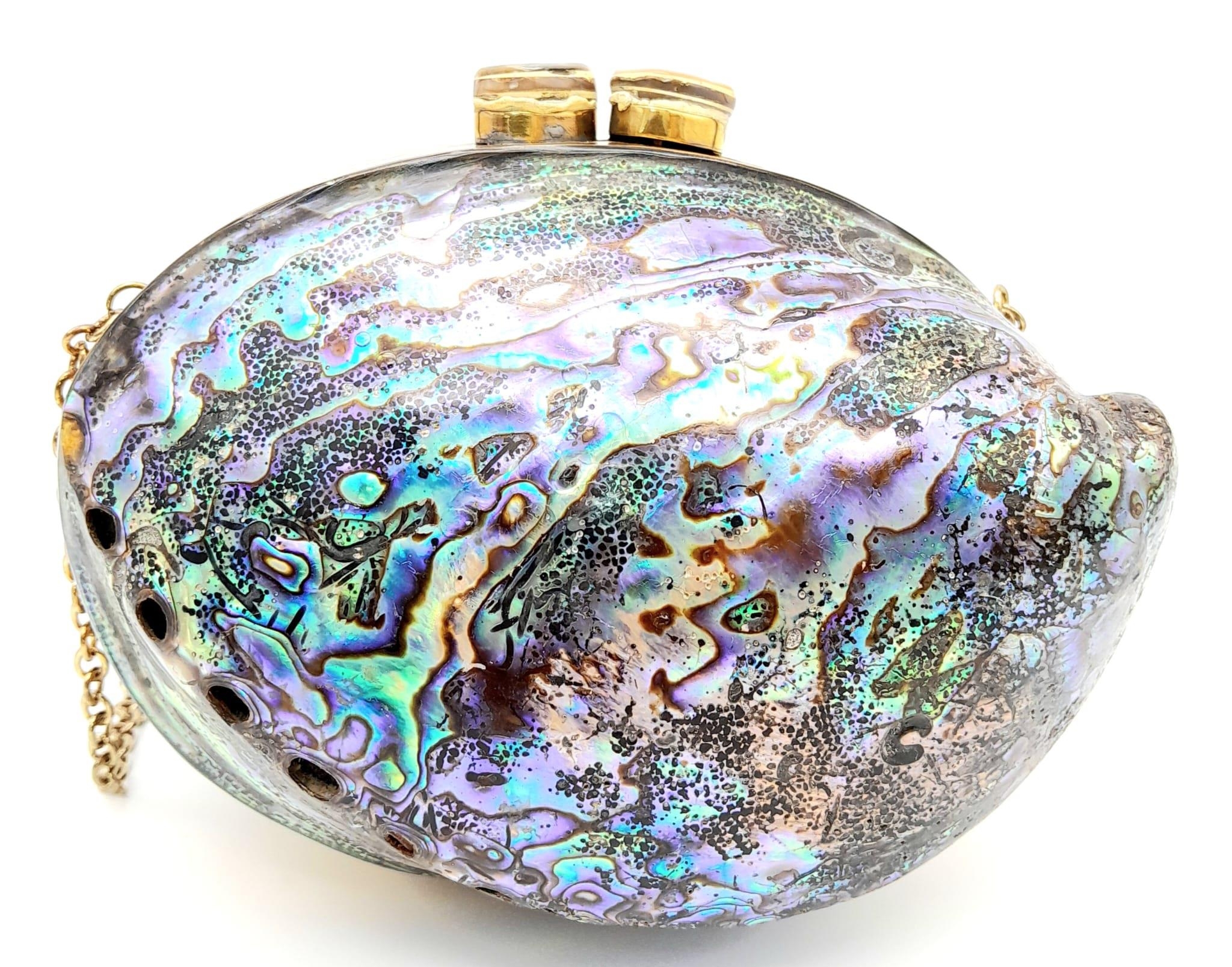 A splendid rare and amazing evening bag, uniquely made from abalone mother of pearl! Supplied with - Image 3 of 7