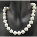 A Lovely Bright White South Sea Pearl Shell Bead Necklace. 14mm beads. 42cm necklace length.