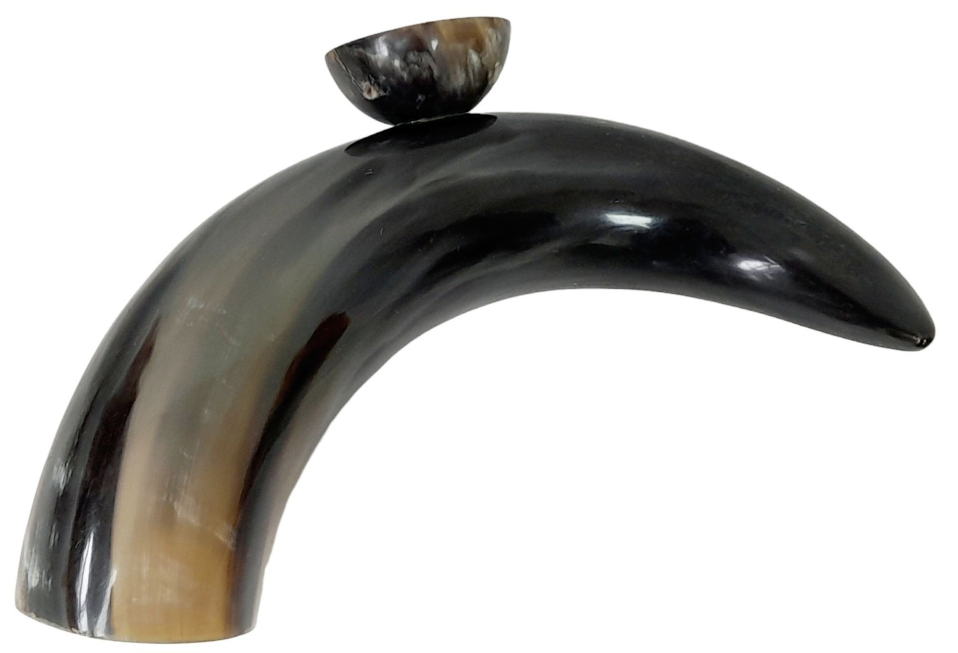 A Repro Resin Large Animal Horn with Libation Cup attached. 55cm horn - Bild 5 aus 13