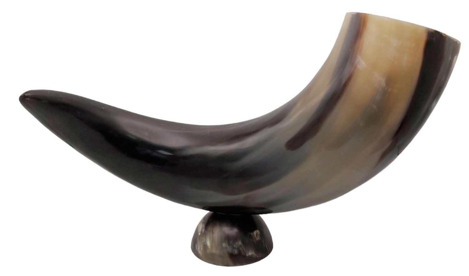 A Repro Resin Large Animal Horn with Libation Cup attached. 55cm horn - Image 8 of 13