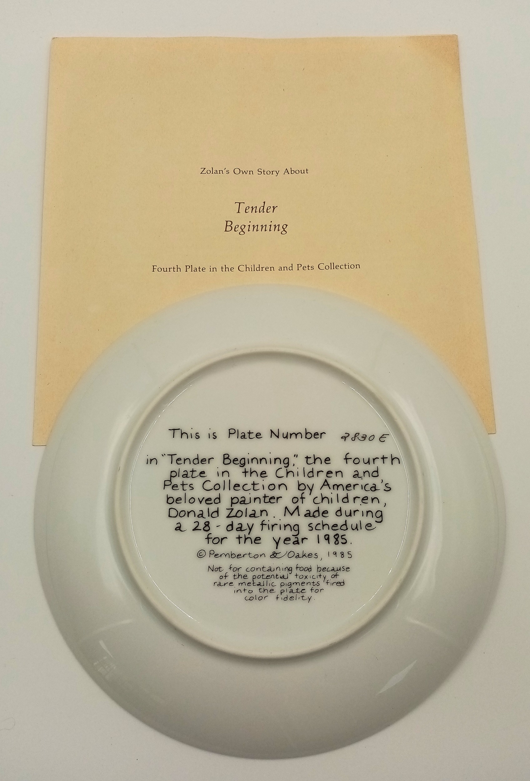 A Donald Zolan Tender Beginnings Limited Edition Ceramic Plate. Comes with COA and original - Image 3 of 5