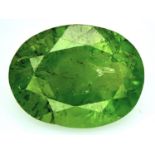 A 3.00ct Pakistan Peridot Gemstone - GFCO Certified.