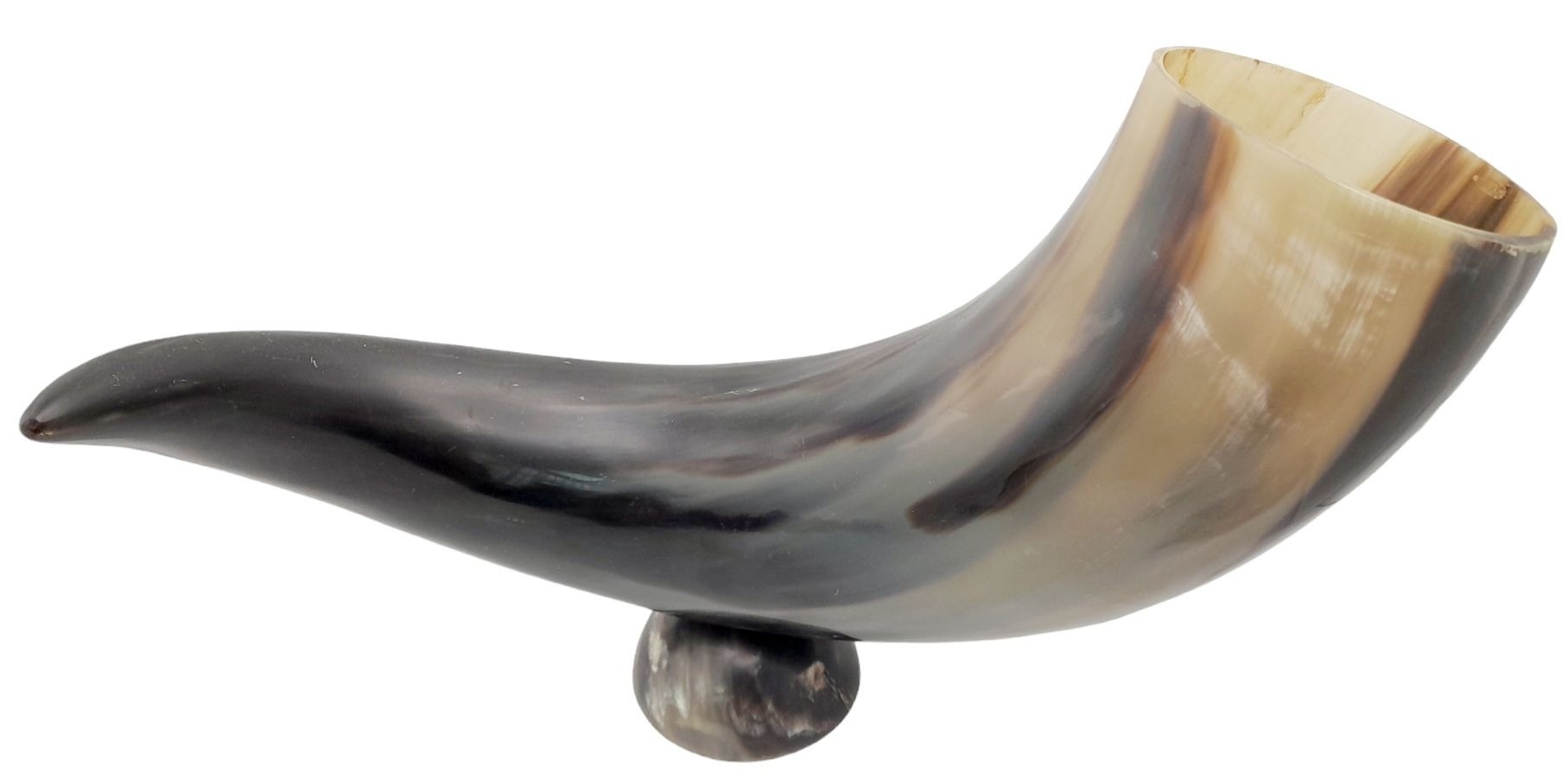 A Repro Resin Large Animal Horn with Libation Cup attached. 55cm horn - Image 4 of 13