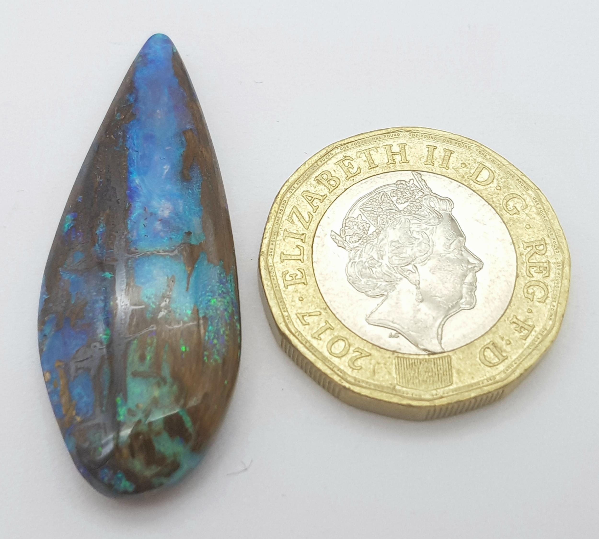 A spectacular and rarely seen in such quality and size opalised fossil wood with wonderful blue - Bild 6 aus 6