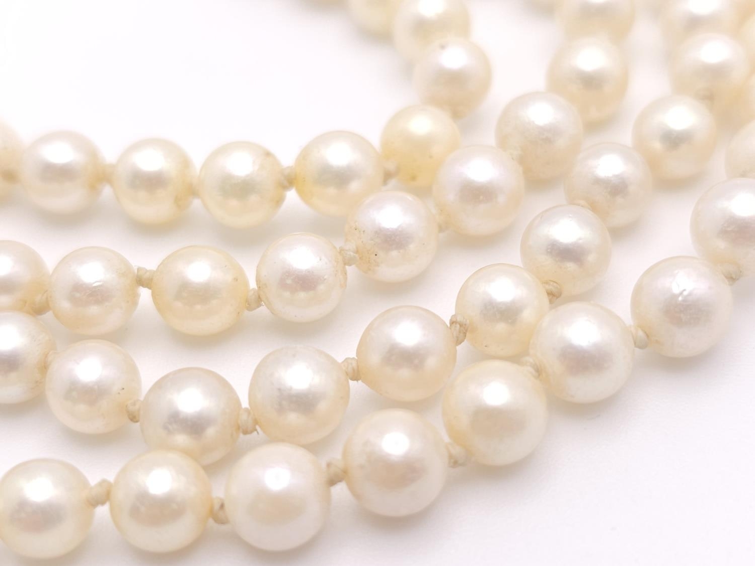 A Vintage Two Row Pearl Choker Necklace with a 14K Gold Clasp. 38cm. - Image 2 of 6