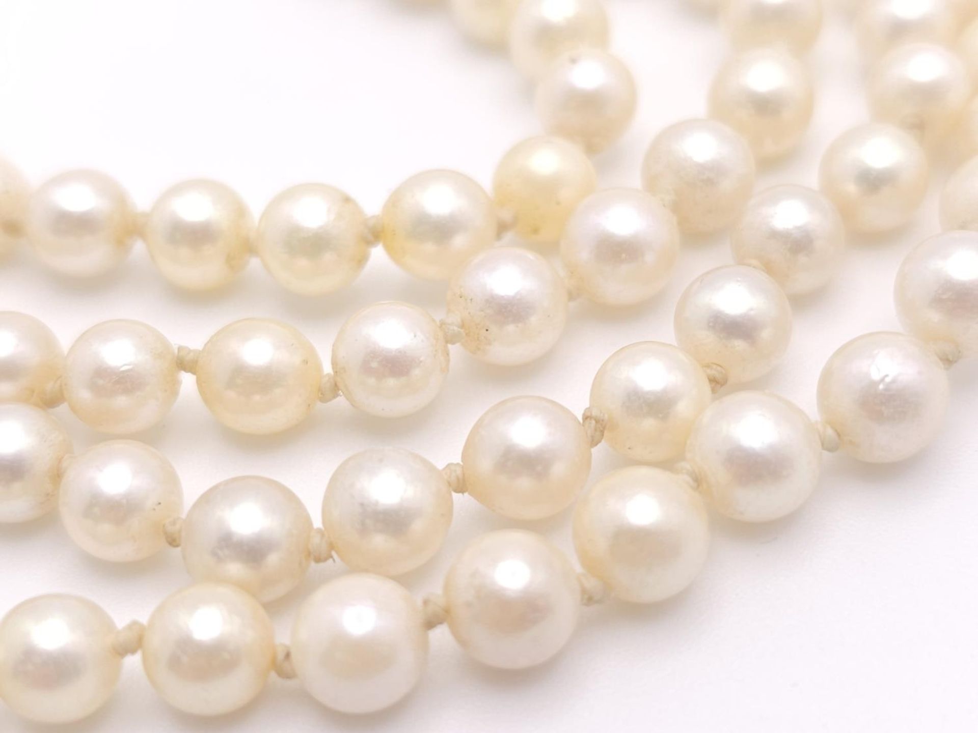 A Vintage Two Row Pearl Choker Necklace with a 14K Gold Clasp. 38cm. - Image 2 of 6