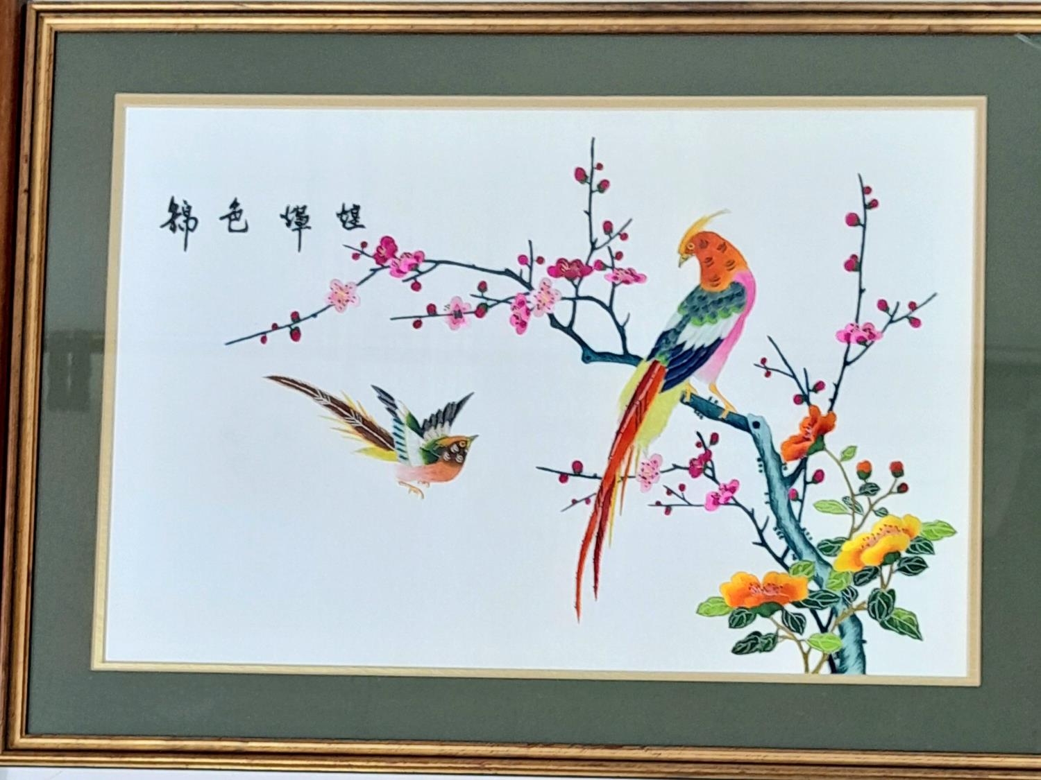 Three Asian Hand-Embroidered Silk Pictures in Frames. Colourful birds and a village scene. 54 x 70cm - Image 2 of 6