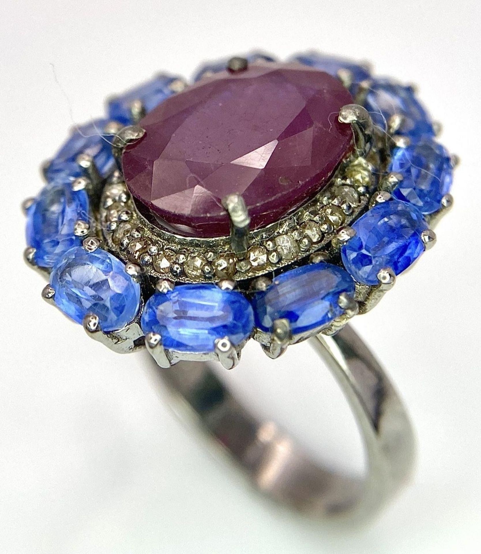 A 5.65ct Ruby Dress Ring with Halo of 0.40ctw of Diamonds and 3.70ct of Kyanite Stones. Set in 925 - Bild 5 aus 7