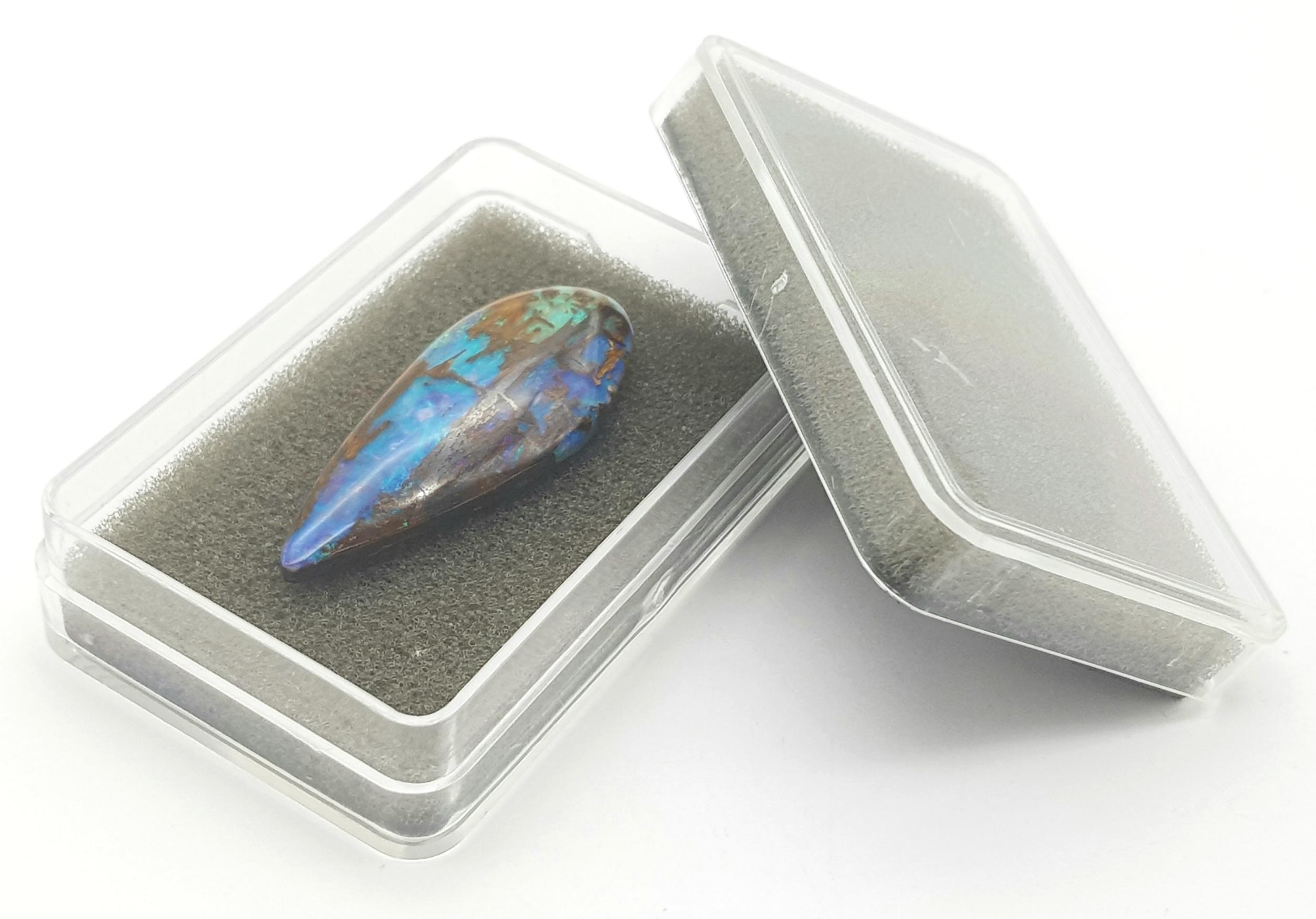 A spectacular and rarely seen in such quality and size opalised fossil wood with wonderful blue - Bild 5 aus 6