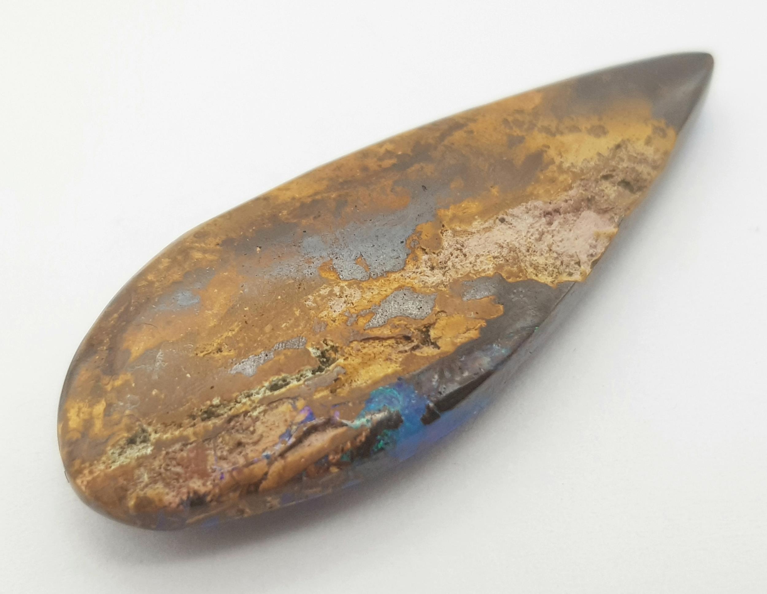 A spectacular and rarely seen in such quality and size opalised fossil wood with wonderful blue - Bild 4 aus 6