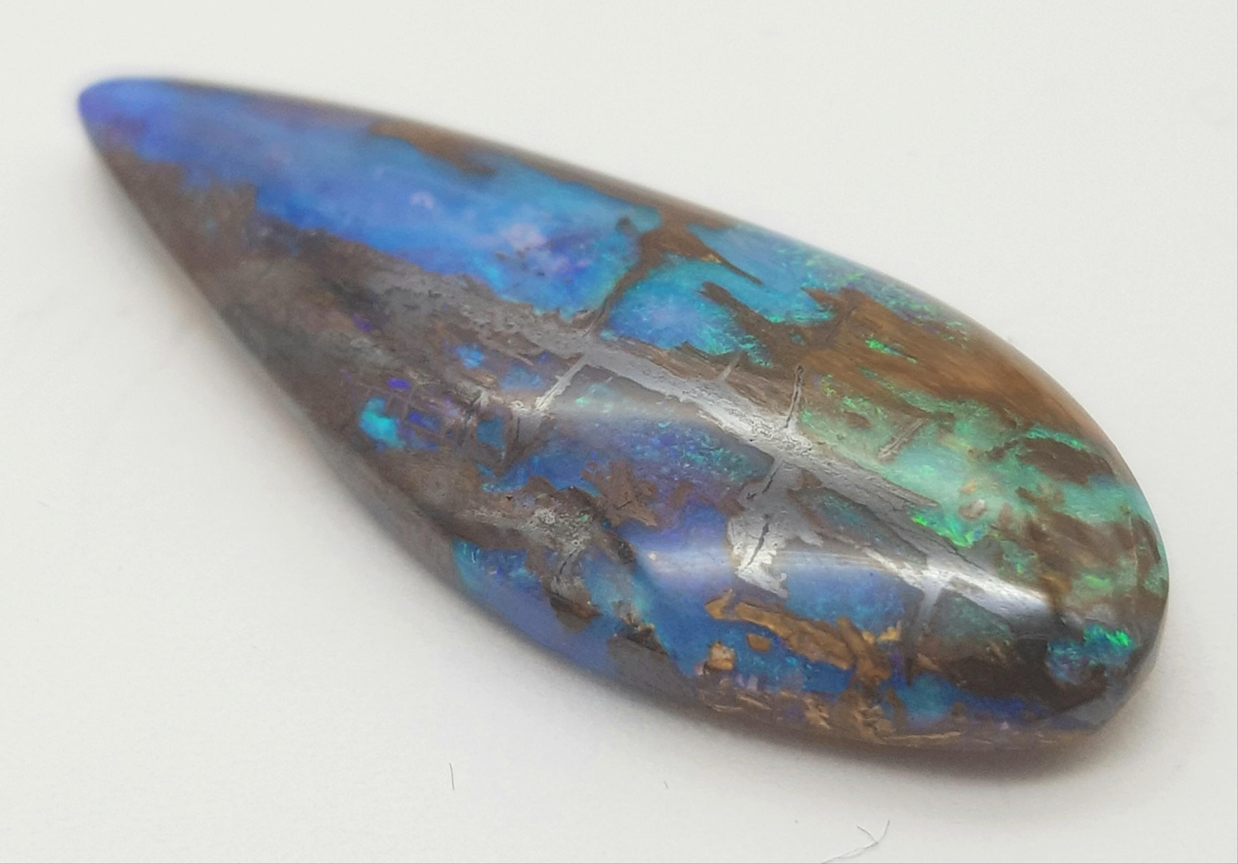 A spectacular and rarely seen in such quality and size opalised fossil wood with wonderful blue - Bild 2 aus 6