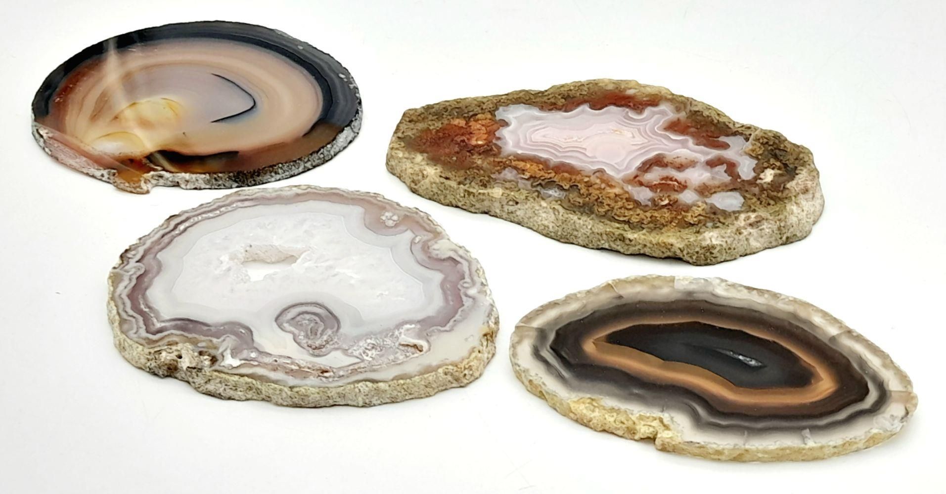 Four Polished Colourful Slices of Agate. Wonderful colours. 7-9cm. - Image 4 of 4