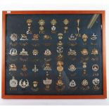 Framed Collection of British  Infantry Cap Badges and Shoulder Titles
