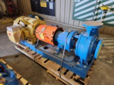 Summit Pump Impellar