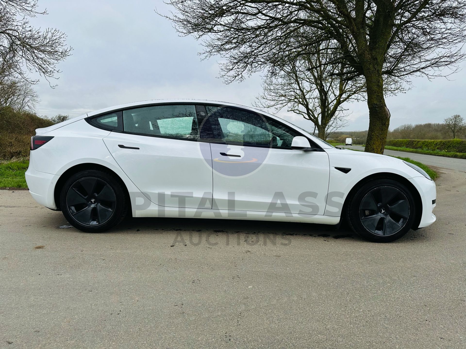 (ON SALE) TESLA MODEL 3 PLUS *PURE ELECTRIC* - 21 REG - PAN ROOF - LEATHER - TYPE 2 CHARGING CABLE! - Image 13 of 41