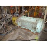 HWD Bleached Stock Pump