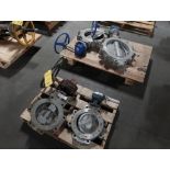 Gate & Butterfly Valves