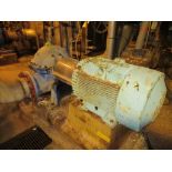 HWD Hot Water Pump