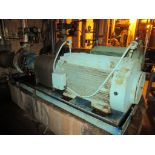 SWD Hi-Pressure Whitewater Pump