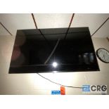 Vizio wall-mounted flatscreen 48in. Wide-LOCATED IN PINE VALLEY