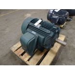 Teco 100 HP Motor