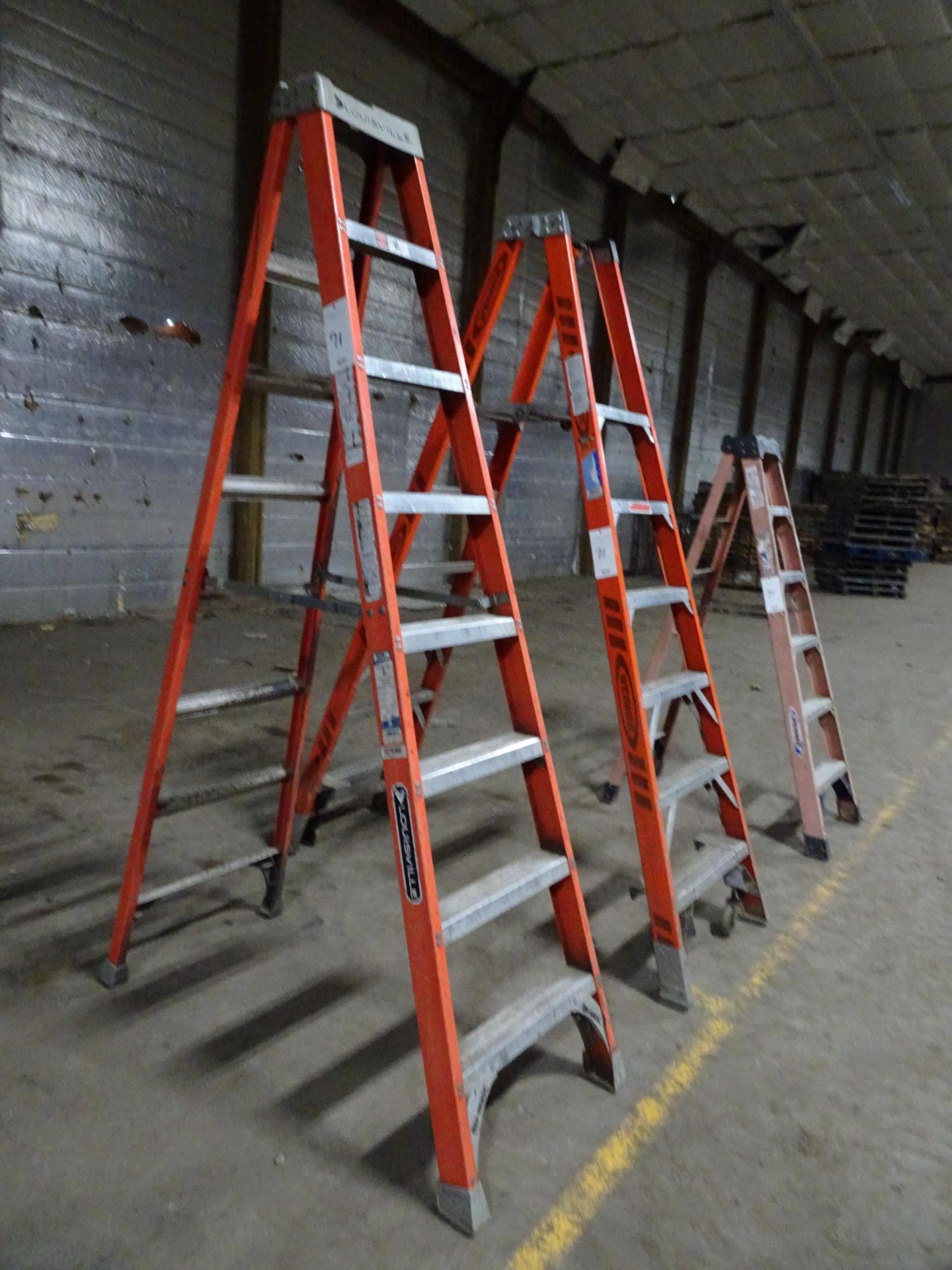 Lot of WernerLadders - Image 4 of 10