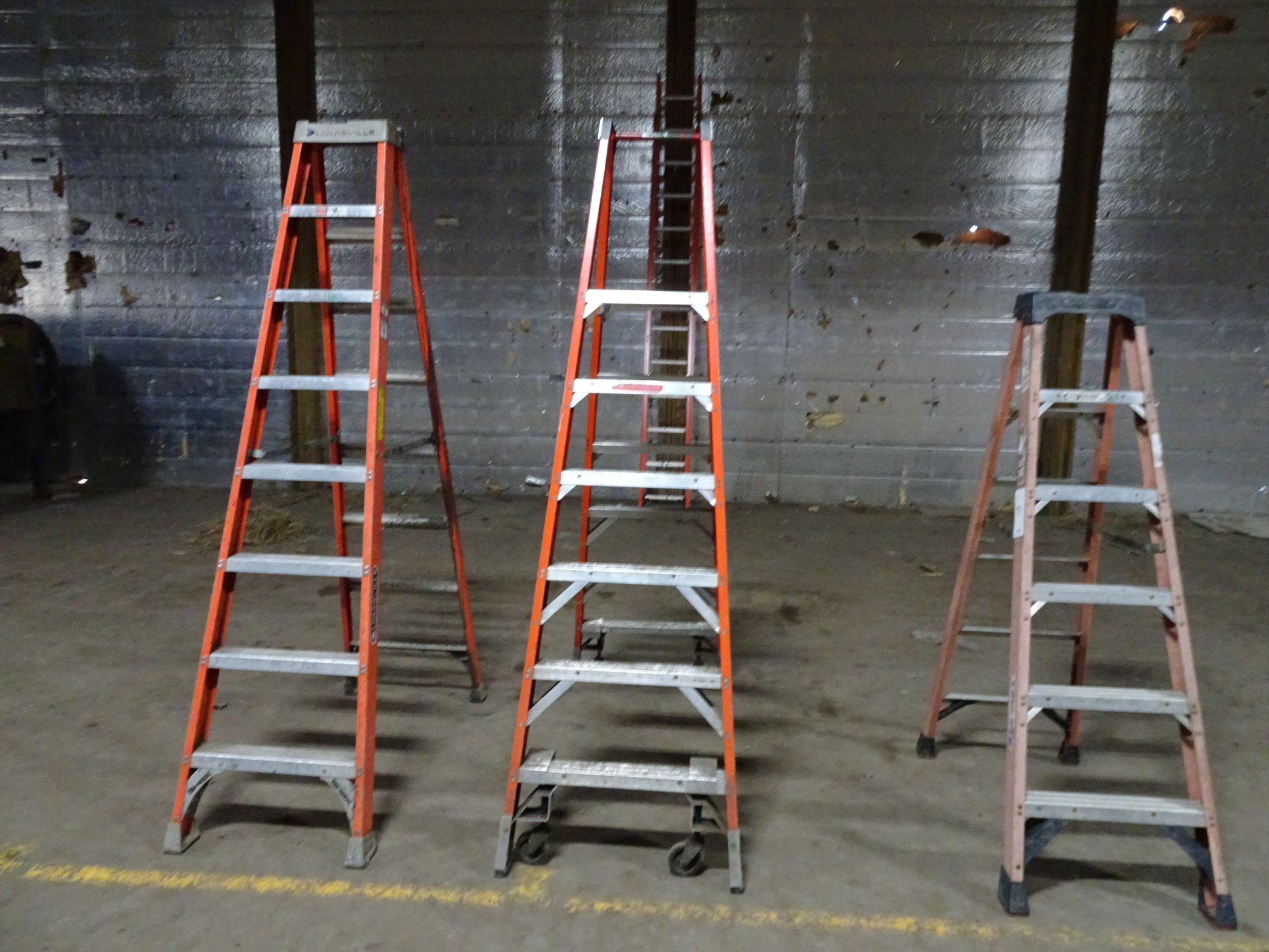 Lot of WernerLadders