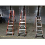 Lot of WernerLadders