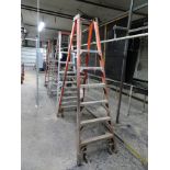 Lot: Warner Ladders