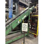 Wardcraft 30" slat type inclined conveyor