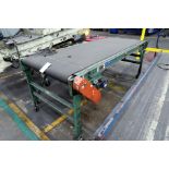 38" TEC inclined slat conveyor