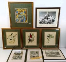 A 19th century print of exotic birds, 29 x 20 cm, its pair, and assorted other pictures (qty)