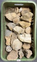 A petrified wood section, others similar and assorted fossils (2 boxes)