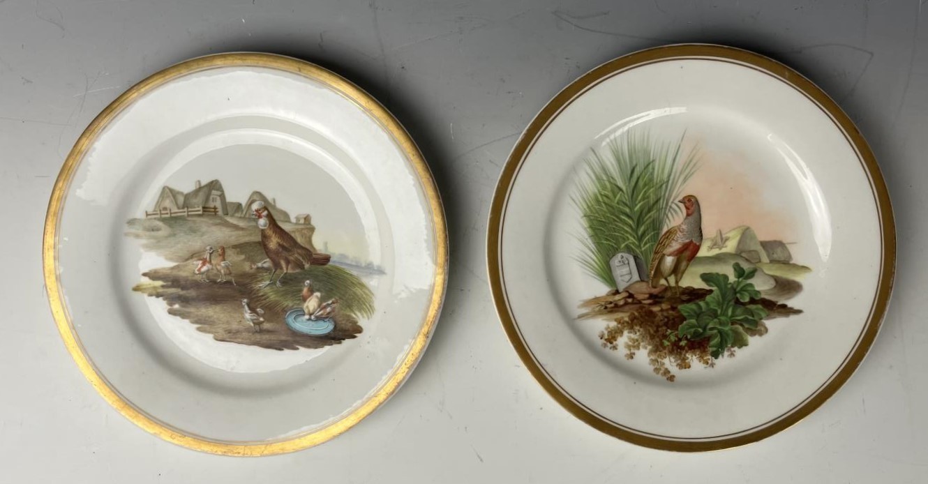 A 19th century Continental cabinet plate, decorated a chicken and chicks, 22 cm diameter, and its