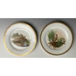 A 19th century Continental cabinet plate, decorated a chicken and chicks, 22 cm diameter, and its