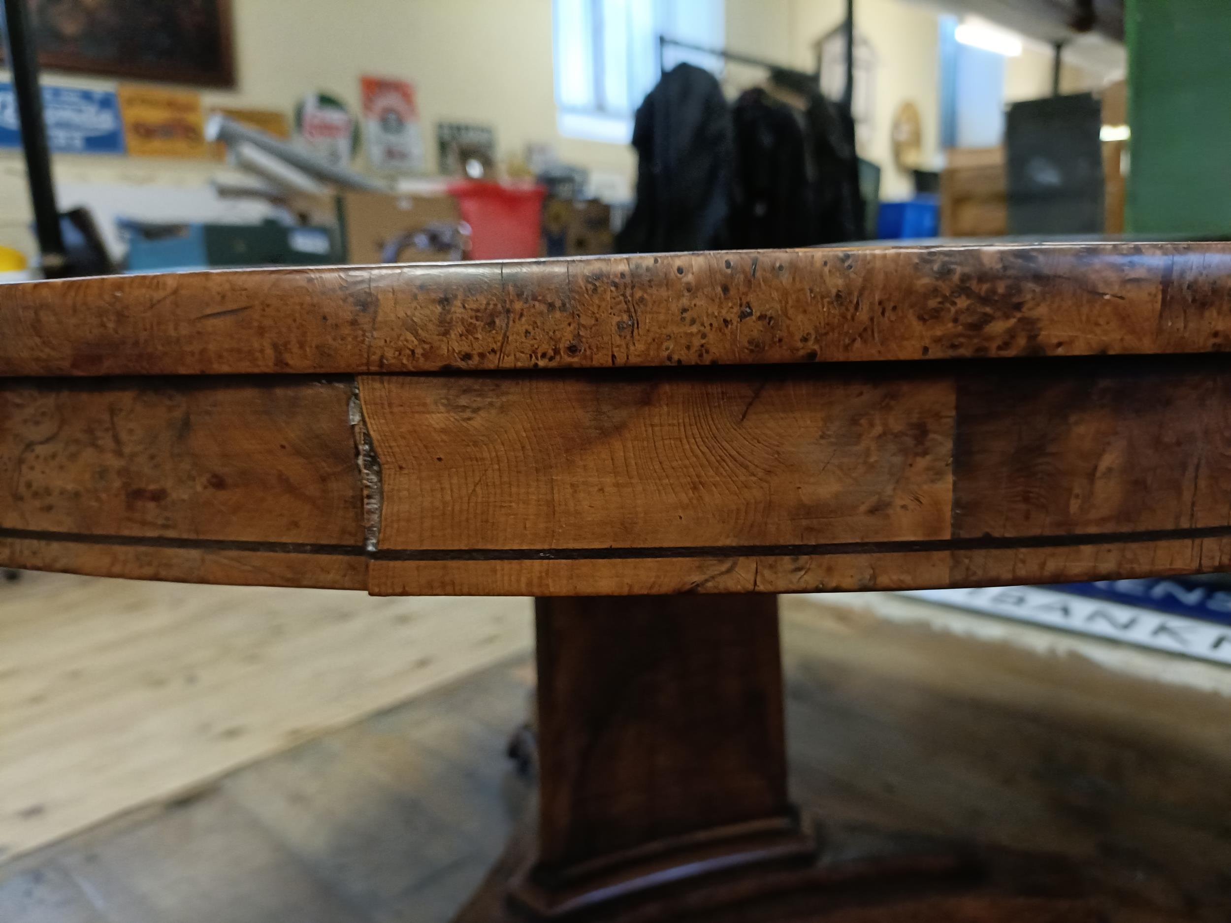 An early 19th century burr yew centre table, in the manner of George Bullock, the top with ebony - Bild 11 aus 18