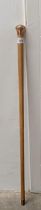 A walking stick, with a 9ct gold mount, 92 cm