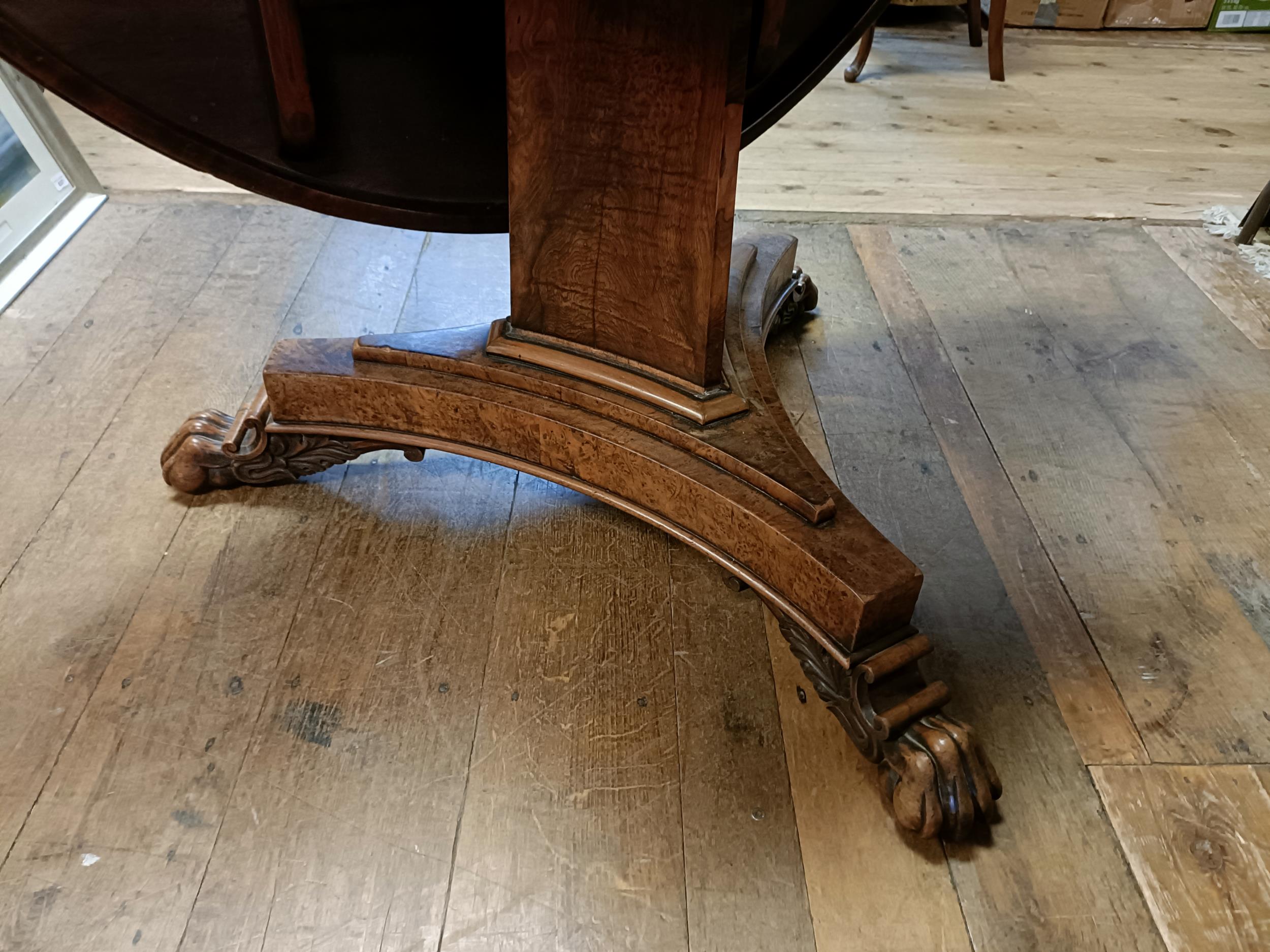 An early 19th century burr yew centre table, in the manner of George Bullock, the top with ebony - Bild 4 aus 18